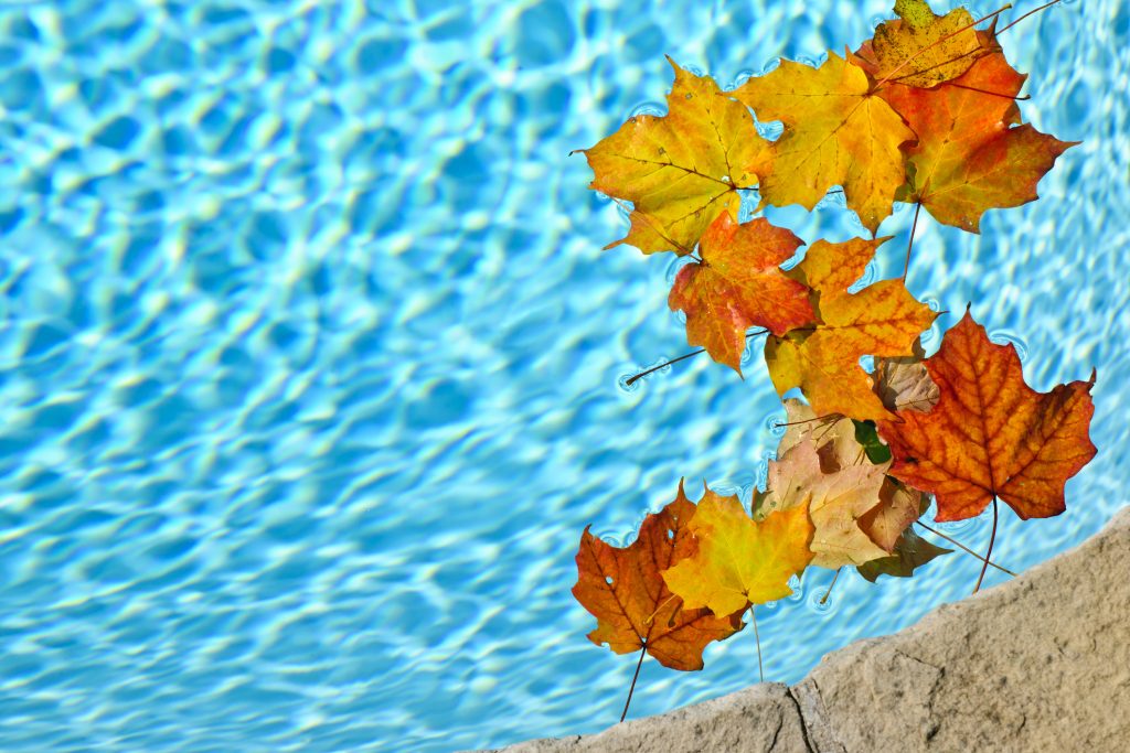 piscine automne